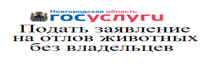 Подать заявление на отлов животных без владельца.